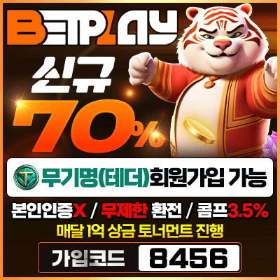 안전놀이터 보장 벳플레이
