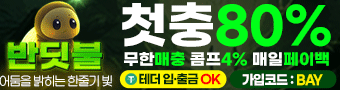 철통보안 시스템 탑재 반딧불