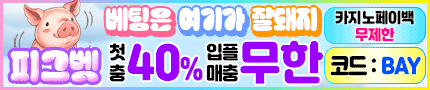 강력 보안 안심사이트 피그벳