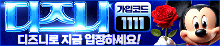 보안의 정점 안전사이트 디즈니